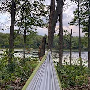 View from the hammock