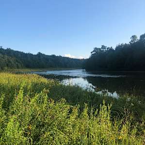 Saugeen Riverside Sites