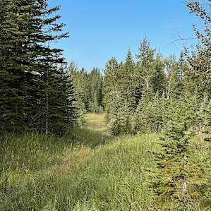 Sunberry Meadows