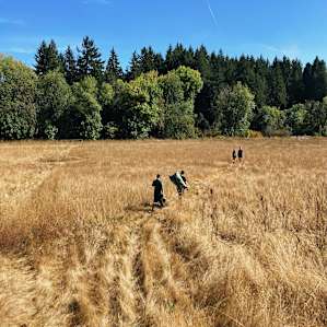 Field path down to the river access