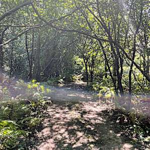 Another shot of the beautiful trails built by Bruce