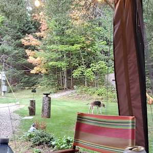 Turkey Hill RV Cottage
