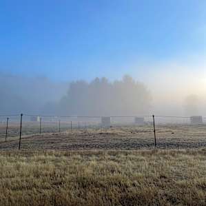 Neighboring horse ranch