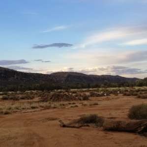 Happy Farm - Bush Camp with a view