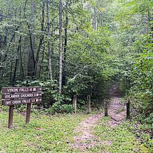 Lots of fun hikes in the area