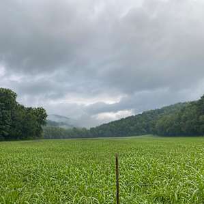Beautiful area