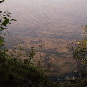 The sandy shallow beach entry into the warm and quiet lake.