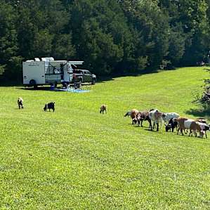 A common scene.