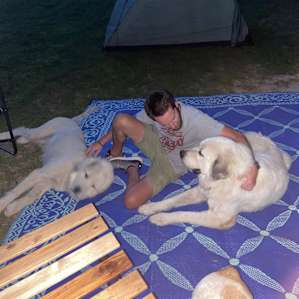 Camping on Farm & Animal Sanctuary