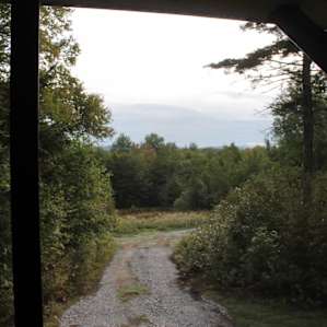 View from the screen porch!
