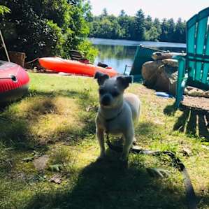 Our little squirrel enjoyed the camp as well.