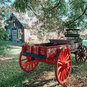 Organic Farm Sanctuary