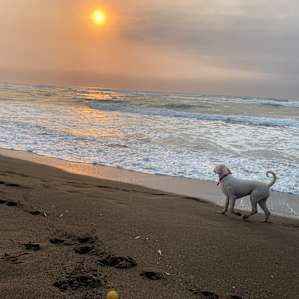 Spectacular beaches and scenery with in a 5 minute drive or bike ride
