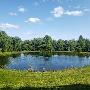 The swimming pond