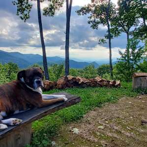 Songbird Mountain Camping