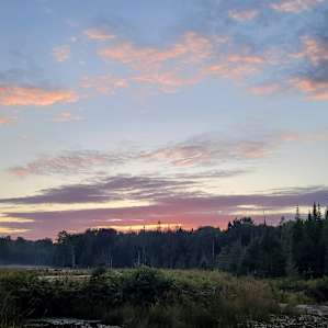 Miracle Mile Nature Camping