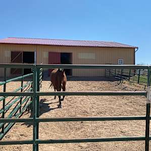 Campin N Horse'n Around