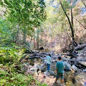 Creek down the hill from campsite #2