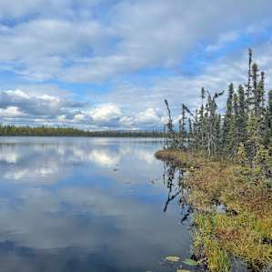 Tent camping, swimming, Alaskan fun