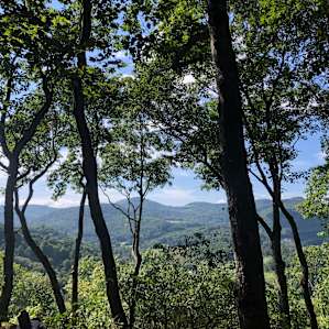 GLENVILLE HIGH TREEHOUSE (4000')