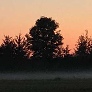 Avonmore Oasis Camping
