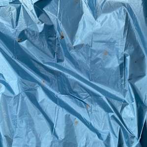 Horse manure on tent