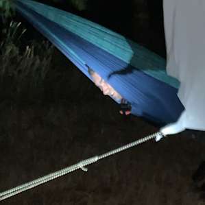 The cocoon
