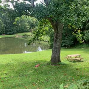 Fire pit and swinging