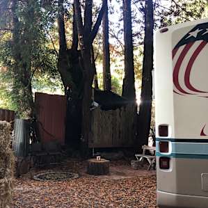 The seating area to the side of the RV with the little treehouse