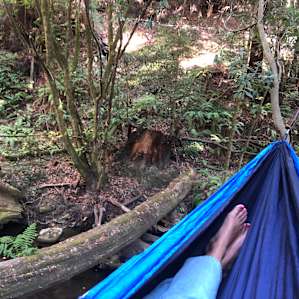 Set up a hammock down by the creek!