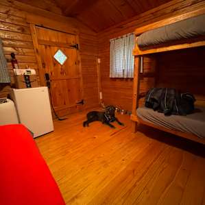 WALKAbOUT Creek Cabins