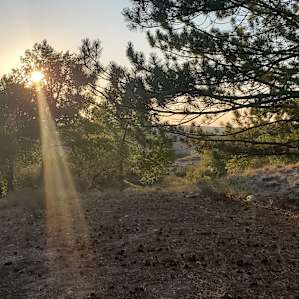 Sunrise at Whispering pines