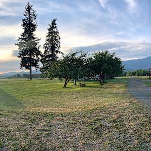 Mountain Views and Forest trails