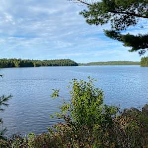 Glamping Tent on the Lake