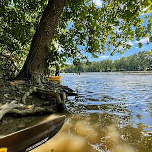 Swim stop on our kayak float.