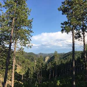The Wilderness