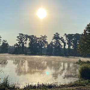 Early mornings were very peaceful
