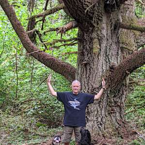 This is the coolest looking tree around. A Candelabra.