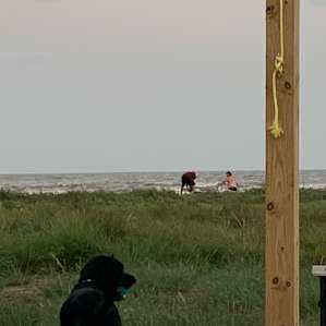 Beach view from camp