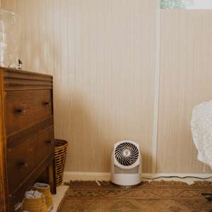 The fan, which kept me cool during the warmth of the early hours of evening.