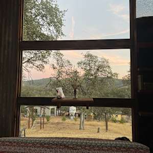 The stars are amazing through this window at night!!