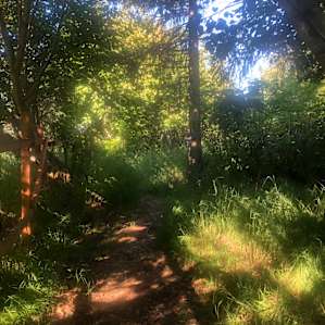 Another trail