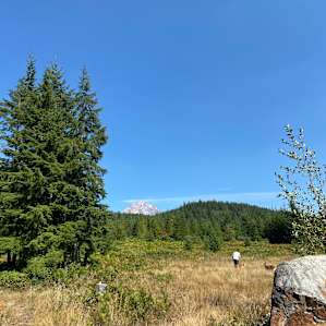 Enola Hill at Mt. Hood