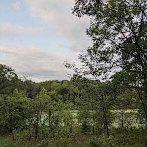 Perdue Homestead Farm