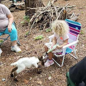 Barefoot Gee's Primitive tent camp
