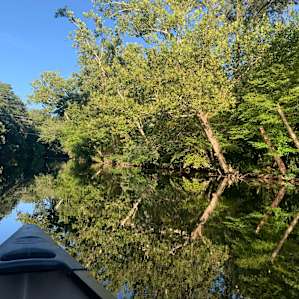 Canoein' Sue's on the Chester River
