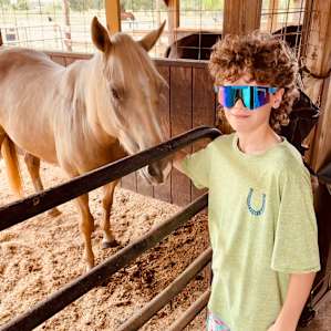 Horse Barn