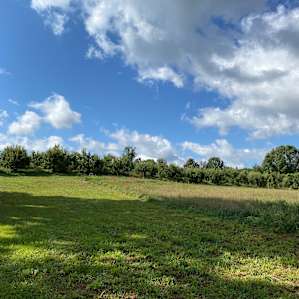 Organic Apple Orchard and Farm
