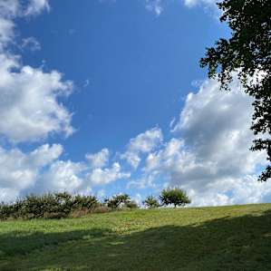 Organic Apple Orchard and Farm