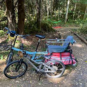Carben Forest